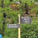 교통 어린이공원(8호) 이미지