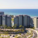 라카이샌드파인 이미지