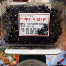 꺼비네 이미지