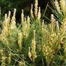 양명여자고등학교 이미지