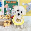 꼬맹이네 멍발소 이미지