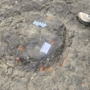 진주 유수리 백악기 화석산지 | 백악기의 공룡들과 함께 걷기 - 2025년 한국고생물학회 춘계학술답사