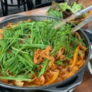 사랑오리농장 이미지