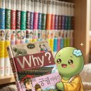"이래서 다들 와이, 와이 하는구나!" Why? 한국사 전집 내돈내산 솔직 후기 (feat. 초딩 현실 반응)