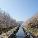 양재천 수변무대2 이미지