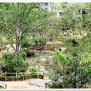 생각나무자연학교 이미지