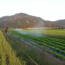 주암농장 이미지