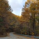 구쟁이 | 구쟁이펜션 후기 작성하고 스타벅스 아메리카노 기프티콘 받아가세요~(부석사펜션)