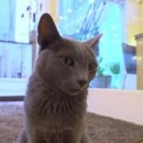 소용농장 이미지