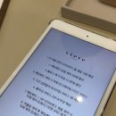 에스지투어 - 제주시 원노형로 13 | 에스지투어
