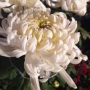 마산수산업협동조합 노동조합 이미지