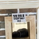 집사의하루 남포점 이미지