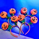 경희대청원태권도장 이미지