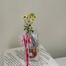 만월청과 이미지