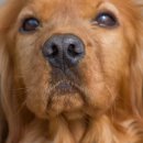 로얄동물병원 이미지