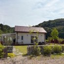 스테이느릿 이미지