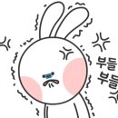 라이블리(Lively) 이미지