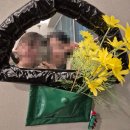 마천우방아파트 도로변 | 대구 수성구청 범어동쌀국수 팟타이는 [땡꽈]