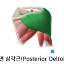 우성헬스PT 이미지