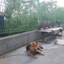 호룡영남특장 | 호룡 영남영업소 &amp; A/S센터 소개