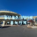 울산 울주 대형카페 - 유녹카페