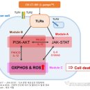 백신디자인연구소