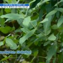 명신농장 이미지