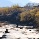 (유)동부렌터카 이미지