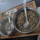 깜상네 | 금창동 맛집 깜상네 사철,영양탕 가격이벤트주차운영시간
