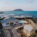 팀그로우 이미지