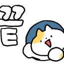 자담치킨 경산영대점 이미지