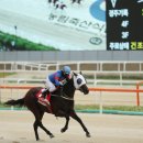 우승축산 이미지