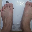 안메드 | 슬림메드 다이어트 2주후기, 정체기에 시작해본 듀얼 케어