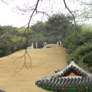 정릉29 이미지