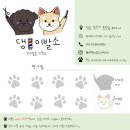 댕이발소 이미지