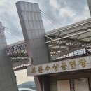 개화 | 경주 겹벚꽃 명소 보문수상공연장 주차 실시간 개화후기