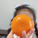 승연농장 이미지