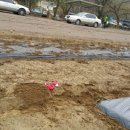 선우농장2 이미지