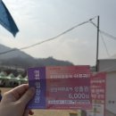 청매실농원 | 광양 매화마을 🌸 청매실농원 2025 봄 나들이 후기 | 주차 셔틀 꿀팁