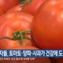 마시땅 이미지