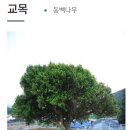부산혜원학교 이미지