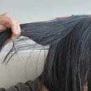 제니하우스 | 집에서 셀프 흑발염색 블랙염색 제니하우스 1N블랙 내돈내산 후기