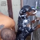 댕댕이샤워 Daum카페
