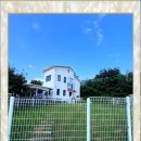 컴투펫 위탁보호센터 이미지