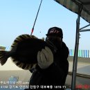 대부도바다낚시터 이미지