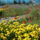 동두천역 이미지