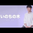 HAVEN-賛美] いのちの木（日本語）｜Japanese Worship 이미지