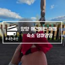 양양 애견동반 여행 숙소 댕큐양양 독채 펜션 대형견 가능