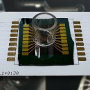 [사이언스카페] AI 한계 넘는 오가노이드 칩…에너지 효율서 월등 이미지