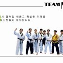 Team태권도장 이미지